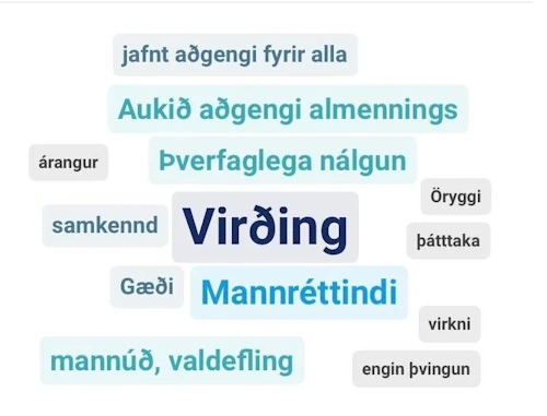 Gildi sem þátttakendur á þinginu vilja hafa að leiðarljósi varðandi framtíðarsýn í geðheilbrigðismálum